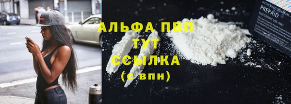 ПСИЛОЦИБИНОВЫЕ ГРИБЫ Горно-Алтайск