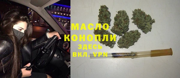 гидра Горнозаводск