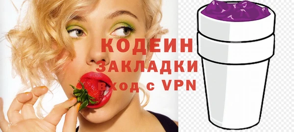 гашик Гусь-Хрустальный