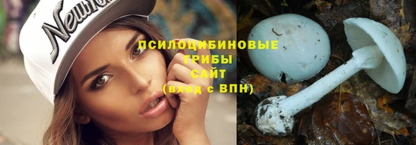 гидра Горнозаводск