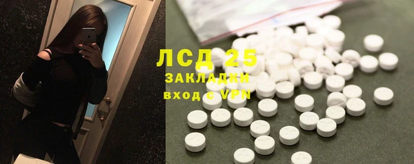 PSILOCYBIN Снежинск