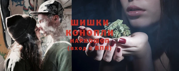 PSILOCYBIN Слюдянка