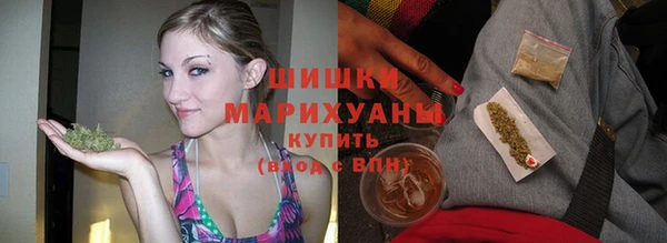 ПСИЛОЦИБИНОВЫЕ ГРИБЫ Горно-Алтайск