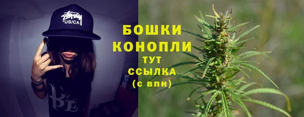 гидра Горнозаводск