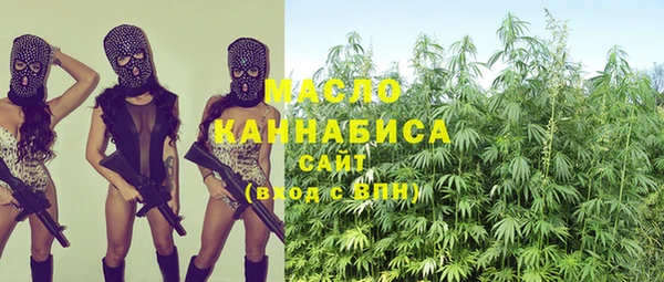 ПСИЛОЦИБИНОВЫЕ ГРИБЫ Горно-Алтайск