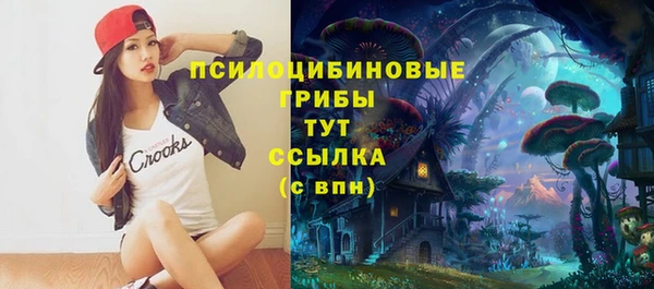 ПСИЛОЦИБИНОВЫЕ ГРИБЫ Горно-Алтайск