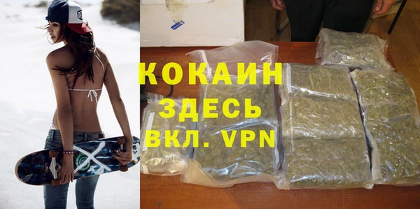 ПСИЛОЦИБИНОВЫЕ ГРИБЫ Горно-Алтайск