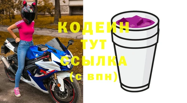 ПСИЛОЦИБИНОВЫЕ ГРИБЫ Горно-Алтайск