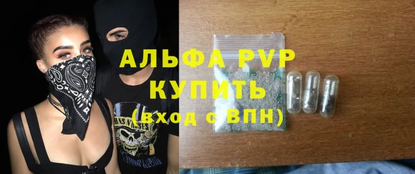 гидра Горнозаводск