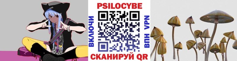 Галлюциногенные грибы Magic Shrooms  площадка официальный сайт  Кольчугино 